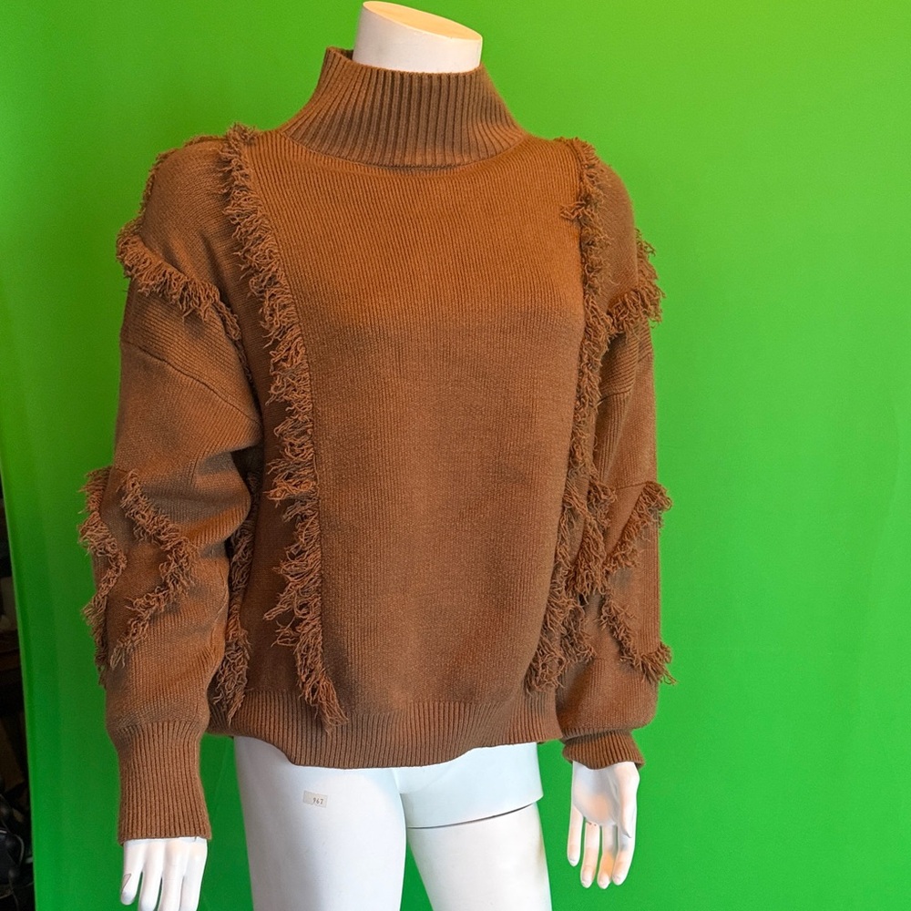 Cozy Fringe Detail Turtleneck Sweater